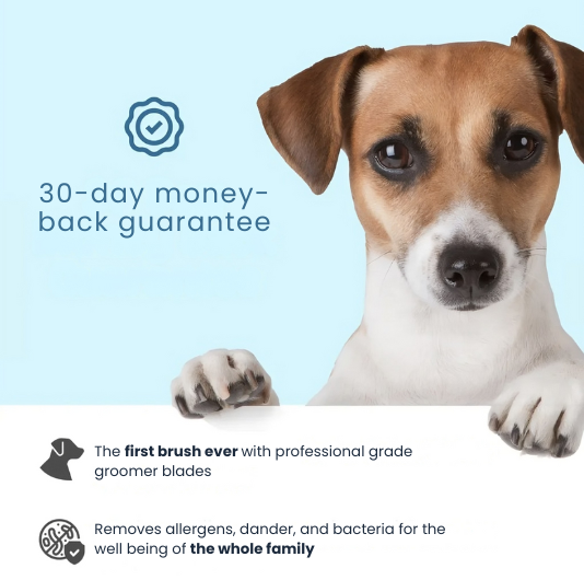 Peacock Vibe | The leading solution for pet shedding