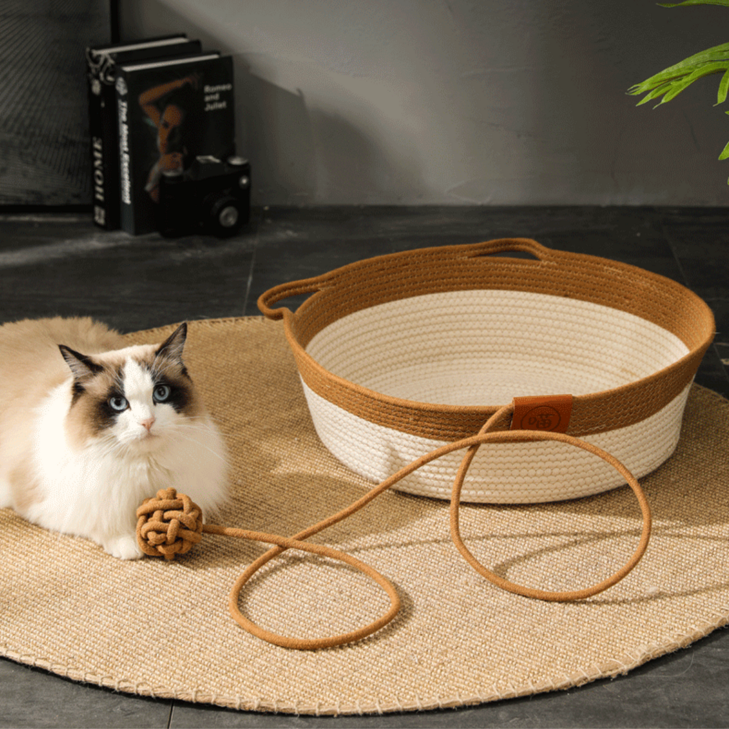 Paw Vibe | Cat Basket