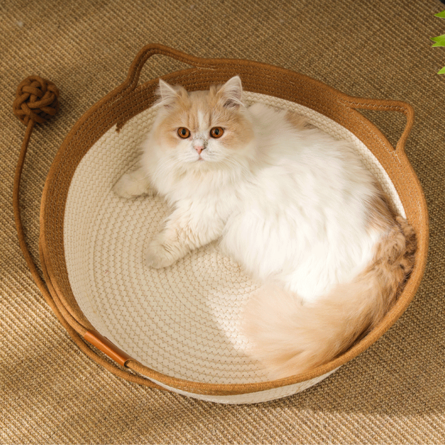 Paw Vibe | Cat Basket