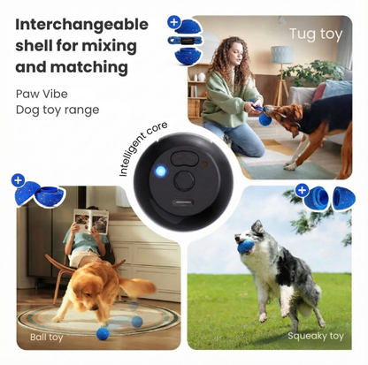 Paw Vibe | Playful Air Ball