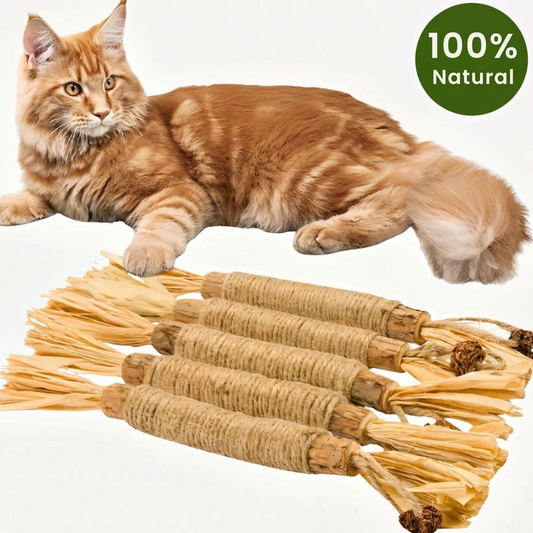 Paw Vibe | Matatabi dental care sticks