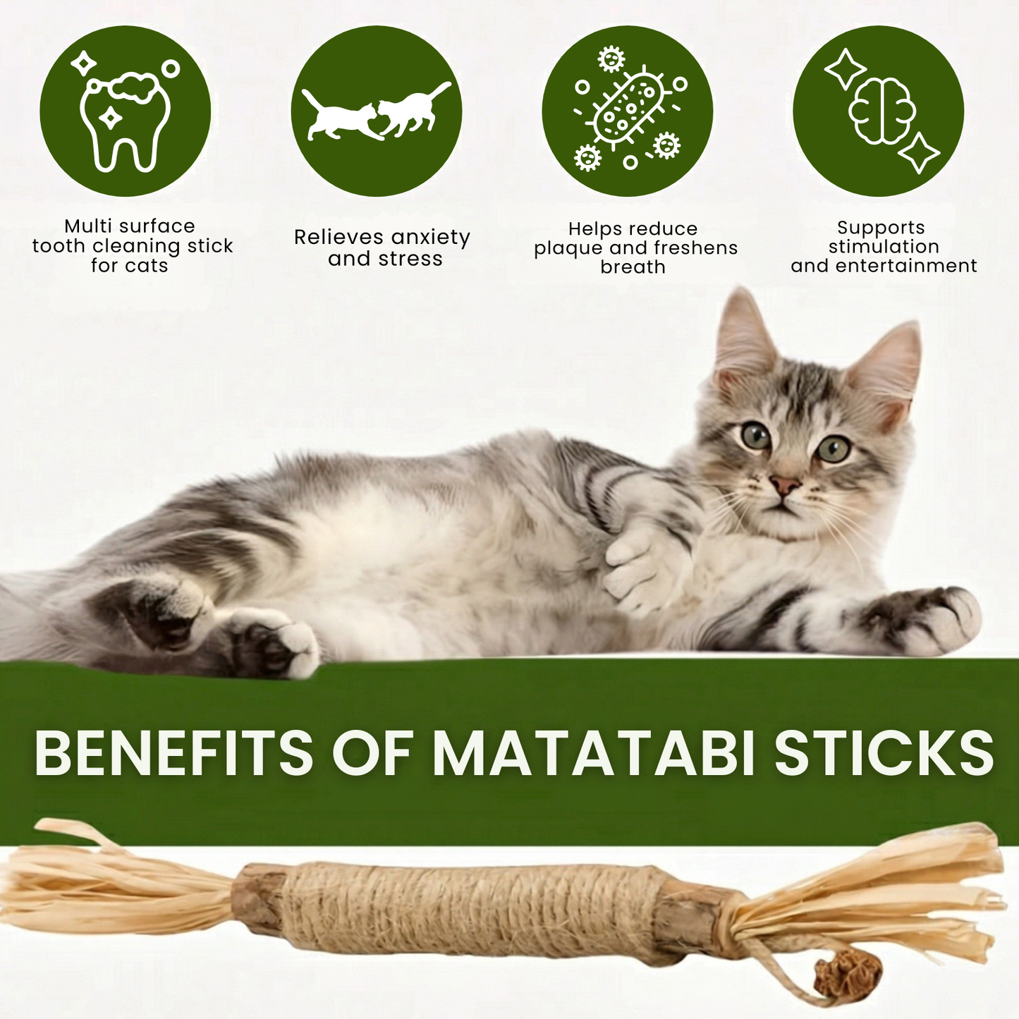 Paw Vibe | Matatabi dental care sticks