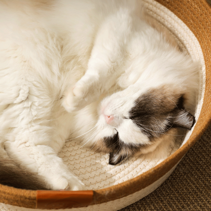 Paw Vibe | Cat Basket