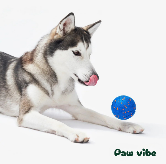 Paw Vibe | Playful Air Ball