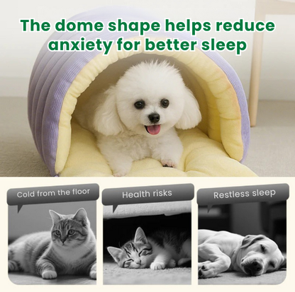 Paw Vibe | Winter Cave