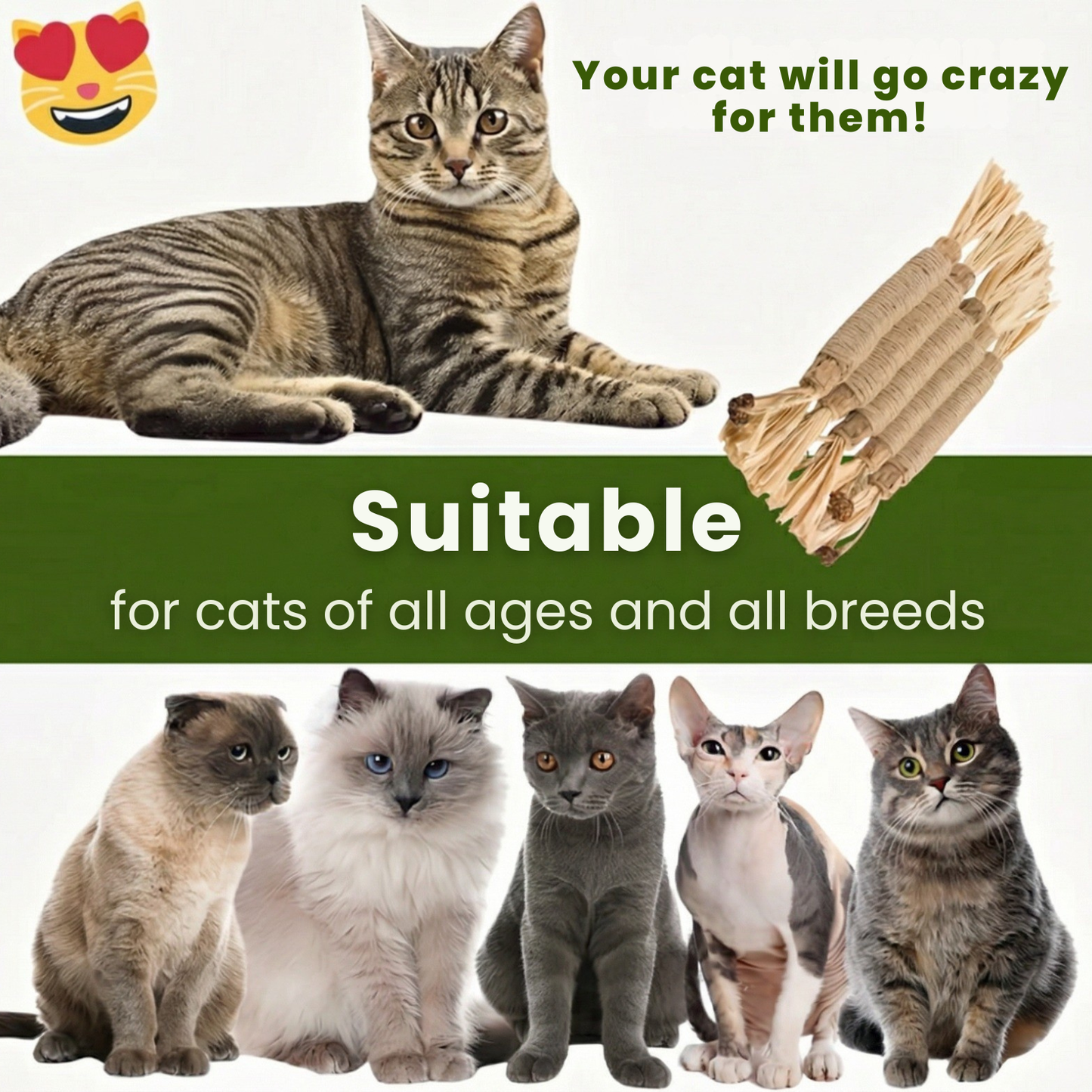 Paw Vibe | Matatabi dental care sticks