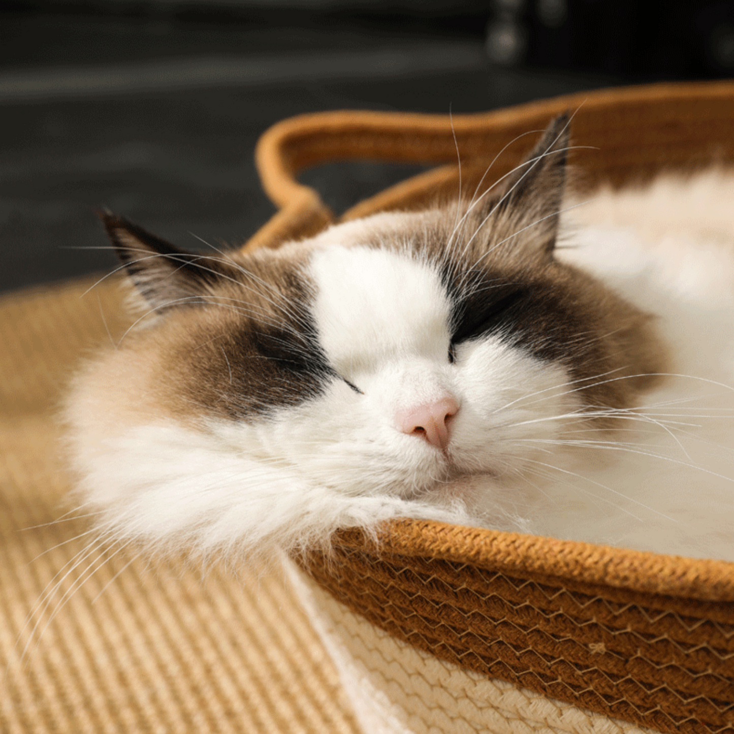 Paw Vibe | Cat Basket