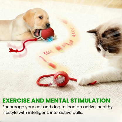 Peacock Vibe | Smart ball for pets 