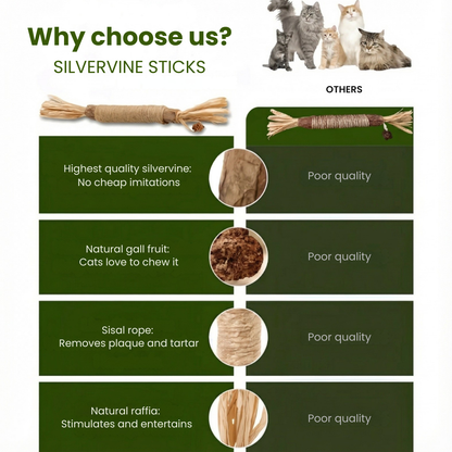 Paw Vibe | Matatabi dental care sticks