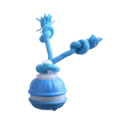 Peacock Vibe | Smart ball for pets 