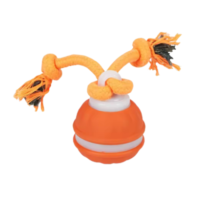 Peacock Vibe | Smart ball for pets 