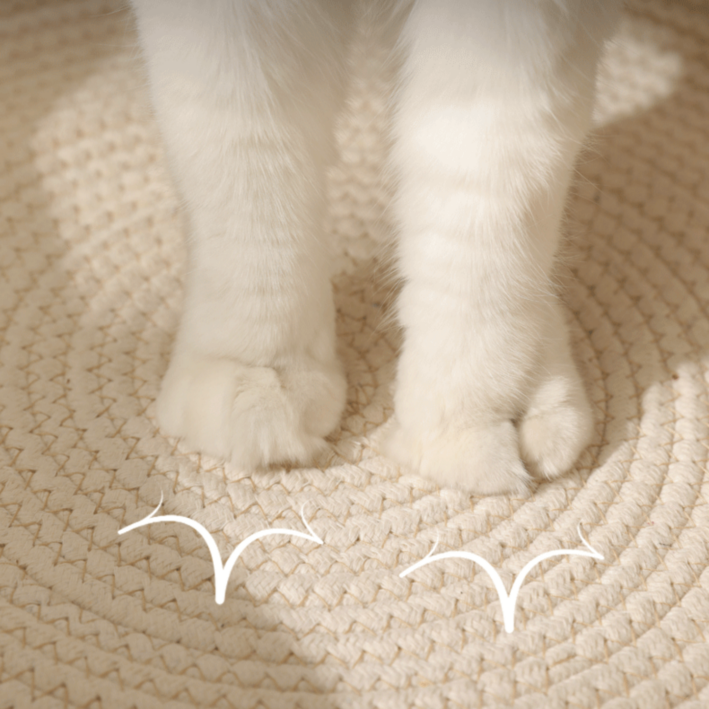 Paw Vibe | Cat Basket