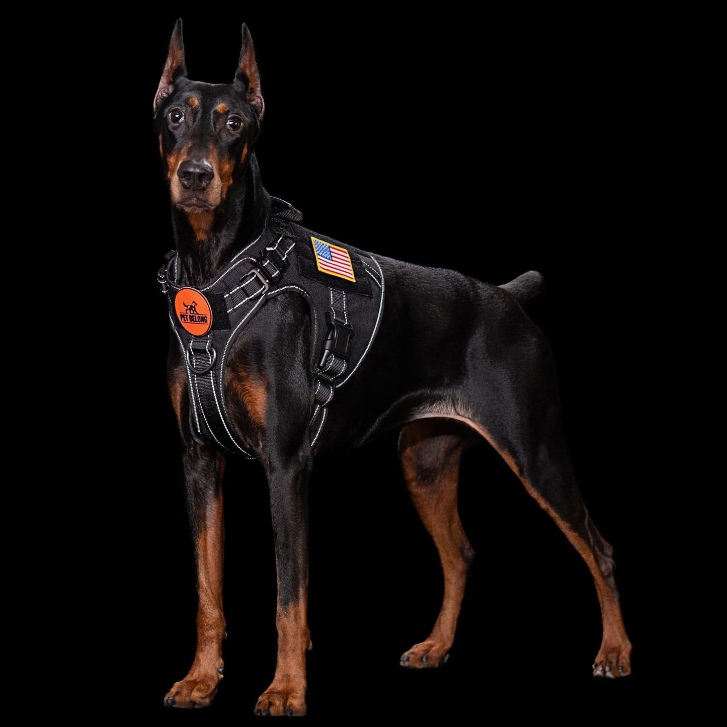 Tactical No Pull Dog Harness 