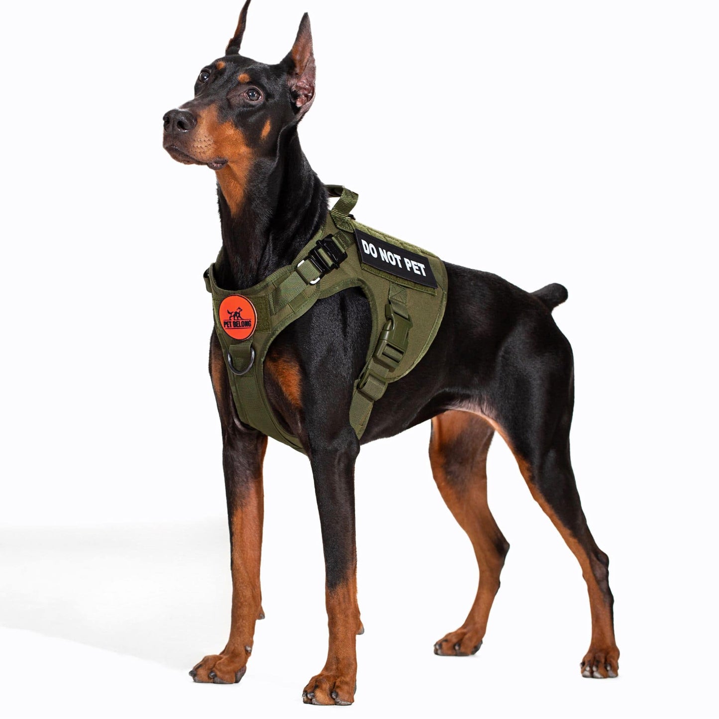 Tactical No Pull Dog Harness 