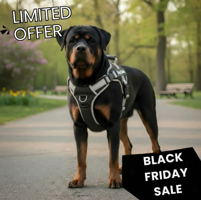 Paw Vibe | Anti-pull harnesses