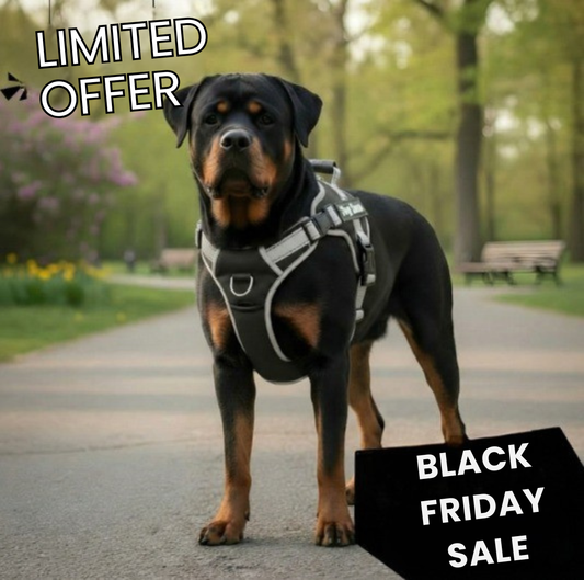 Paw Vibe | Anti-pull harnesses