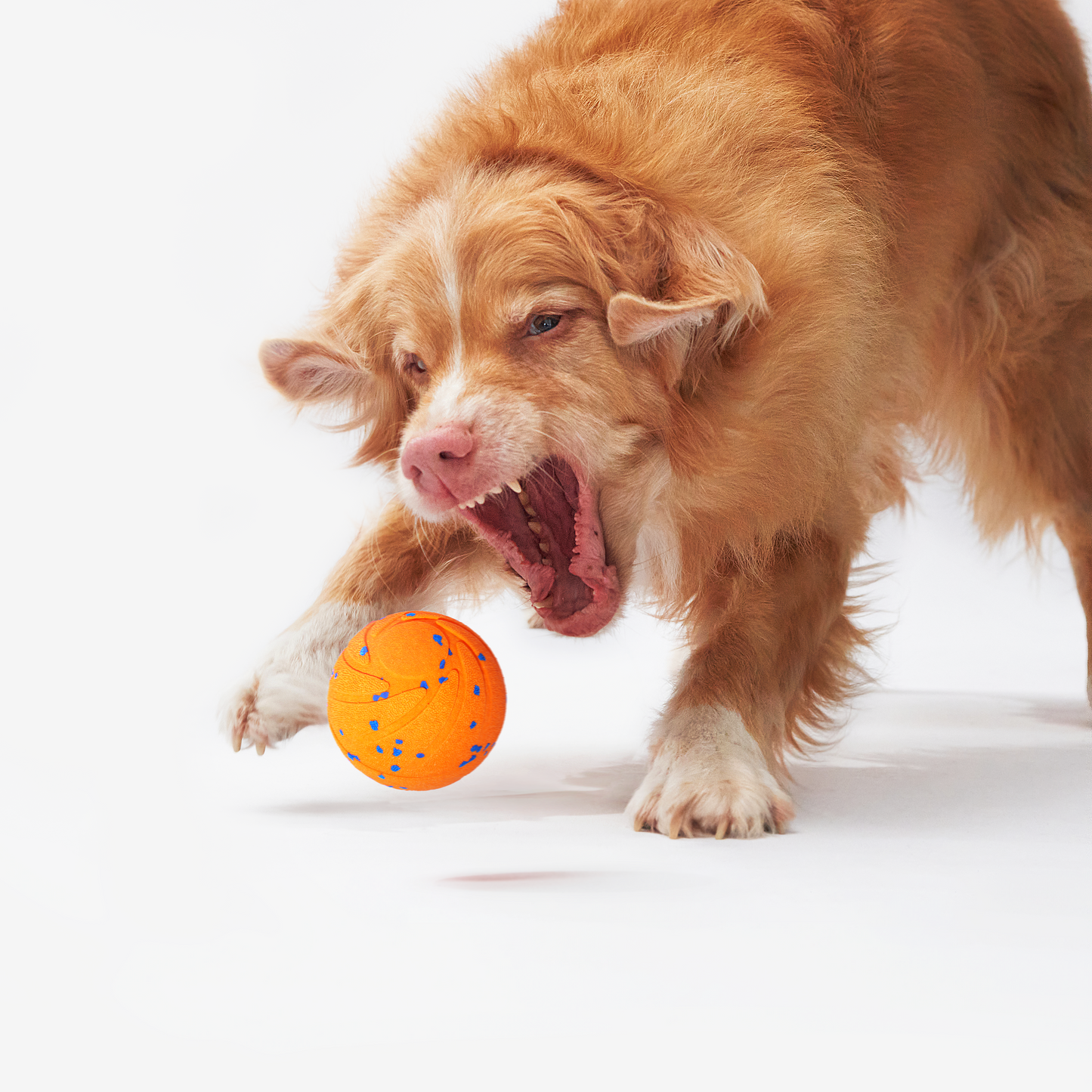 Paw Vibe | Playful Air Ball